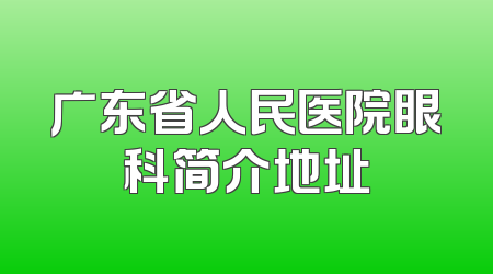 广东省人民医院眼科简介地址