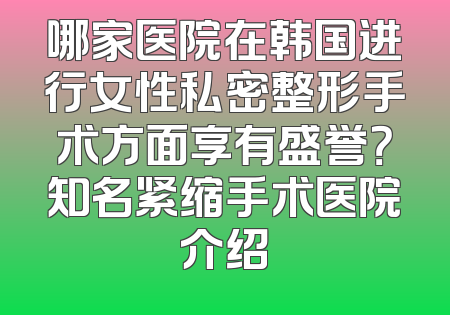 哪家医院在韩国进行女性私密整形手术方面享有盛誉？知名紧缩手术医院介绍