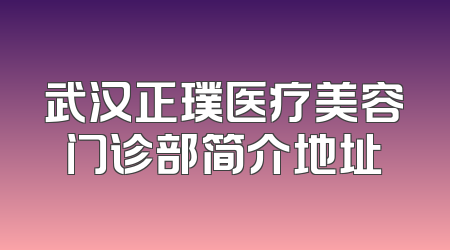 武汉正璞医疗美容门诊部简介地址