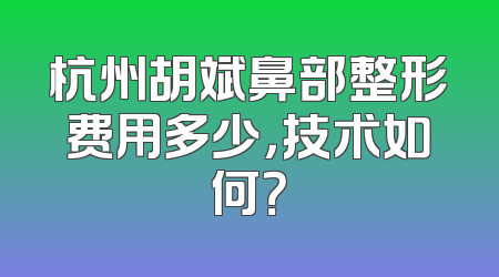 杭州胡斌鼻部整形费用多少，技术如何？