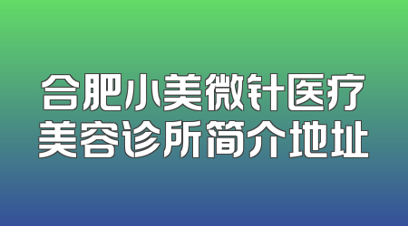 合肥小美微针医疗美容诊所简介地址