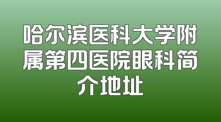 哈尔滨医科大学附属第四医院眼科简介地址