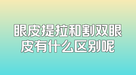 眼皮提拉和割双眼皮有什么区别呢