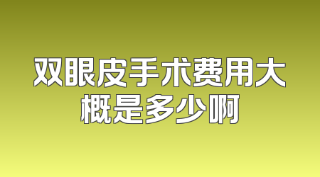 双眼皮手术费用大概是多少啊