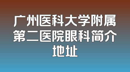 广州医科大学附属第二医院眼科简介地址