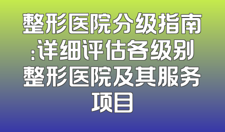 整形医院分级指南：详细评估各级别整形医院及其服务项目