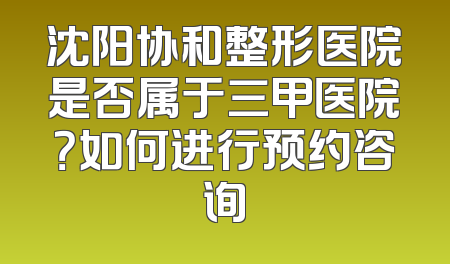沈阳协和整形医院是否属于三甲医院？如何进行预约咨询