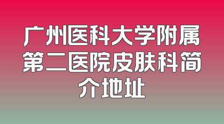 广州医科大学附属第二医院皮肤科简介地址