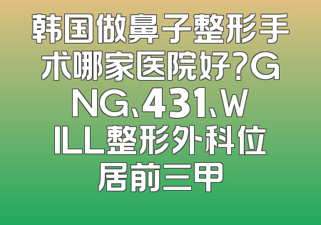 韩国做鼻子整形手术哪家医院好？GNG、431、WILL整形外科位居前三甲