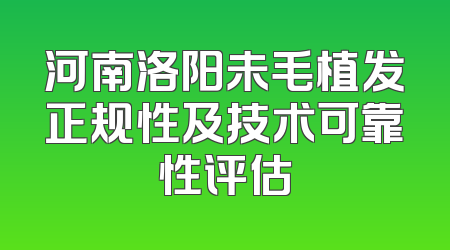 河南洛阳未毛植发正规性及技术可靠性评估