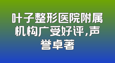 叶子整形医院附属机构广受好评，声誉卓著