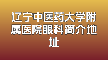 辽宁中医药大学附属医院眼科简介地址