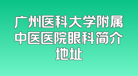广州医科大学附属中医医院眼科简介地址