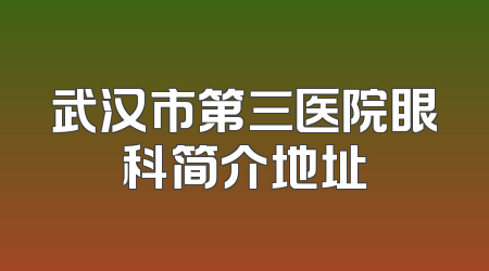 武汉市第三医院眼科简介地址