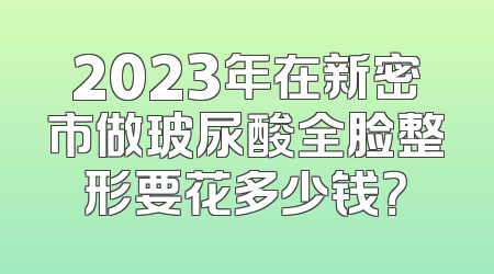 2023年在新密市做玻尿酸全脸整形要花多少钱？