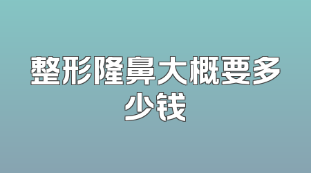 整形隆鼻大概要多少钱