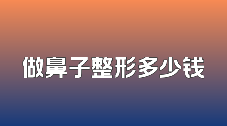 做鼻子整形多少钱