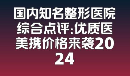 国内知名整形医院综合点评：优质医美携价格来袭2024