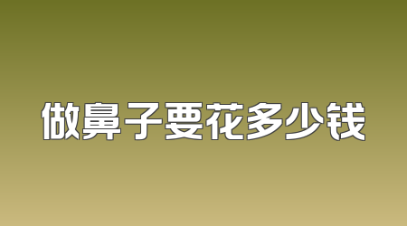 做鼻子要花多少钱