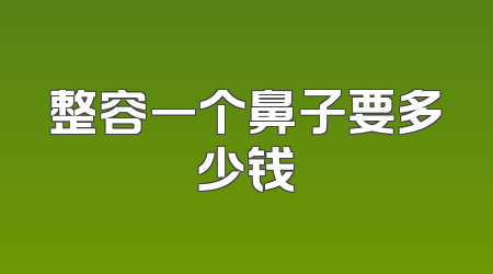 整容一个鼻子要多少钱