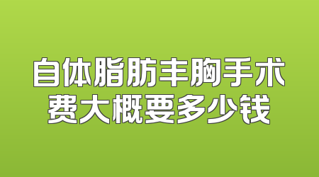 自体脂肪丰胸手术费大概要多少钱