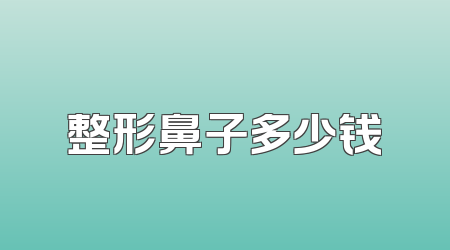 整形鼻子多少钱