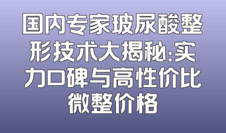国内专家玻尿酸整形技术大揭秘：实力口碑与高性价比微整价格