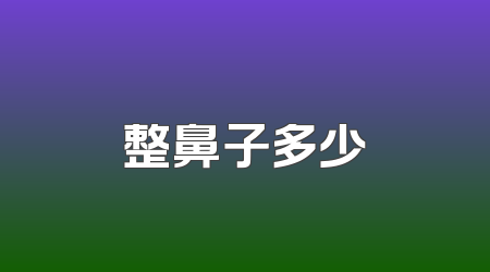 整鼻子多少