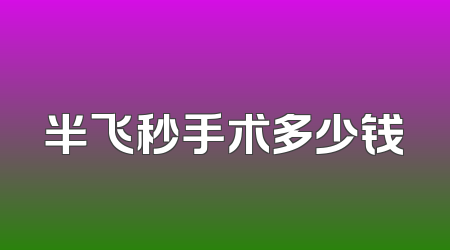 半飞秒手术多少钱