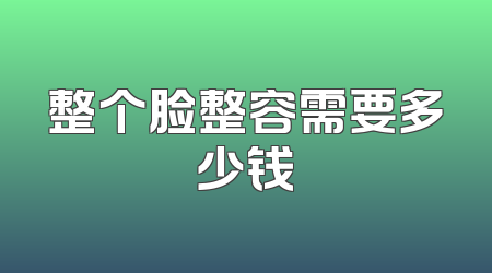 整个脸整容需要多少钱