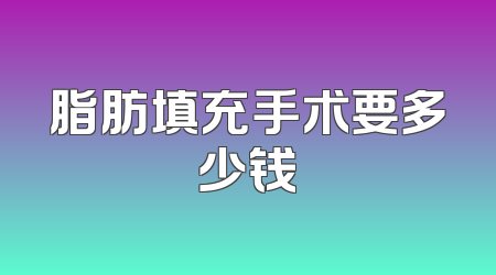 脂肪填充手术要多少钱