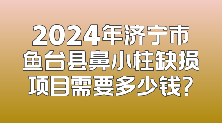 2024年济宁市鱼台县鼻小柱缺损项目需要多少钱？
