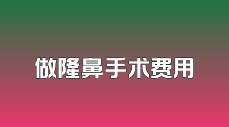 做隆鼻手术费用