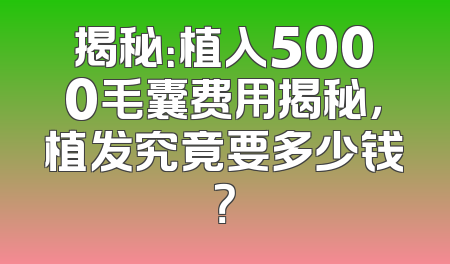 揭秘：植入5000毛囊费用揭秘，植发究竟要多少钱？