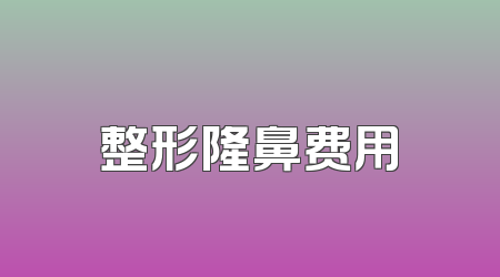 整形隆鼻费用