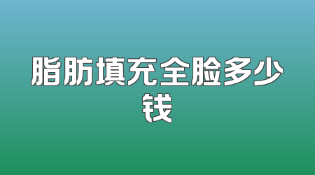 脂肪填充全脸多少钱