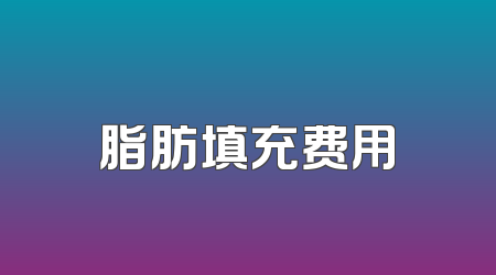 脂肪填充费用