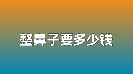 整鼻子要多少钱