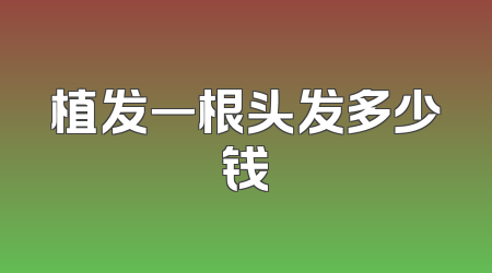 植发一根头发多少钱