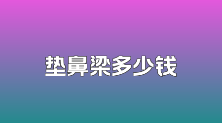 垫鼻梁多少钱