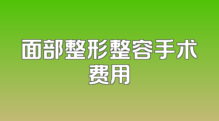 面部整形整容手术费用
