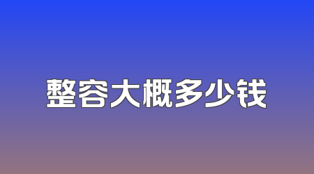 整容大概多少钱