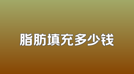 脂肪填充多少钱