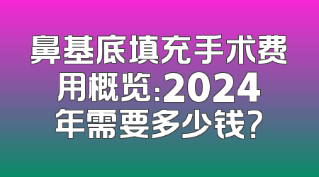 鼻基底填充手术费用概览：2024年需要多少钱？