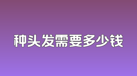 种头发需要多少钱