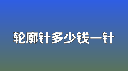 轮廓针多少钱一针