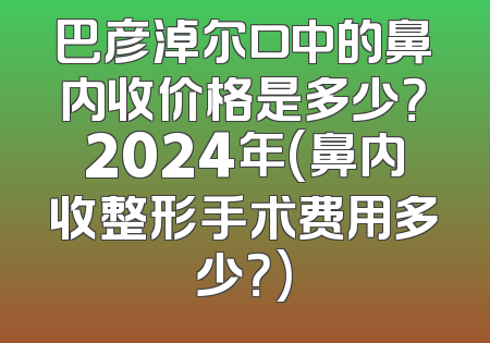 巴彦淖尔口中的鼻内收价格是多少？2024年(鼻内收整形手术费用多少？)