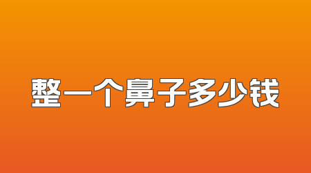 整一个鼻子多少钱