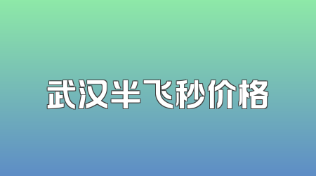 武汉半飞秒价格