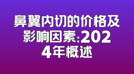 鼻翼内切的价格及影响因素：2024年概述